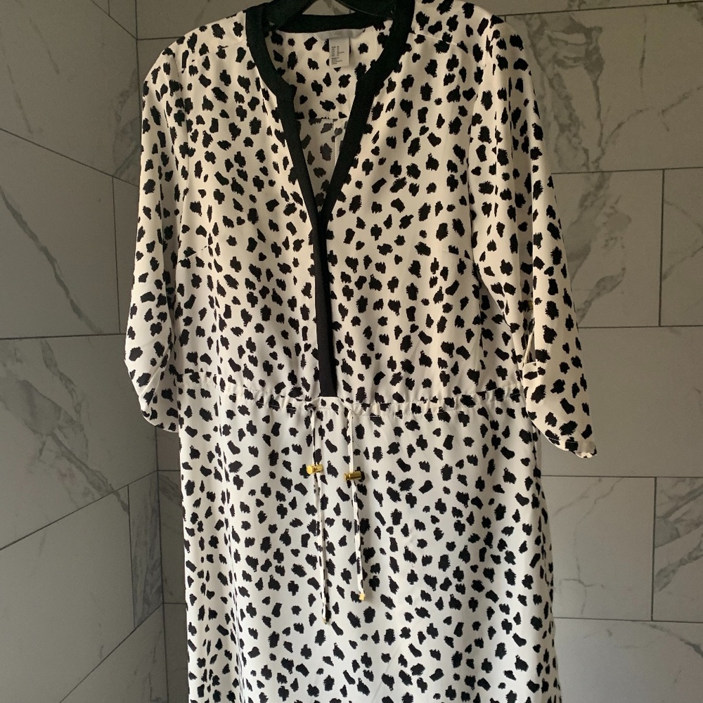 HM Polka Dot Black and White Dress
